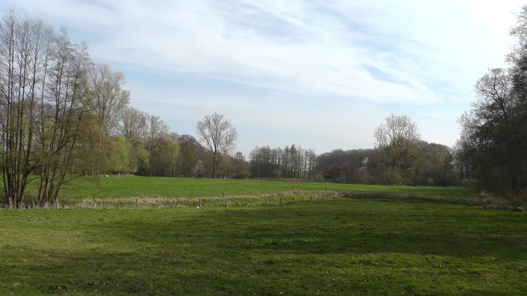 Gasthof Waldesruh Saerbeck Eksteriør bilde
